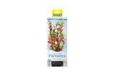 DecoArt Plant M Red Ludwigia