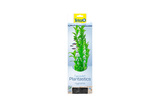 DecoArt Plant L Hygrophila